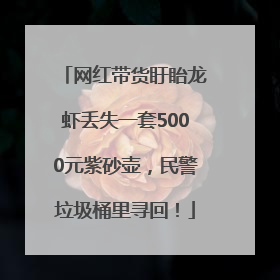 网红带货盱眙龙虾丢失一套5000元紫砂壶，民警垃圾桶里寻回！