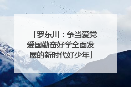 罗东川：争当爱党爱国勤奋好学全面发展的新时代好少年