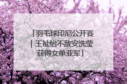 羽毛球印尼公开赛｜王祉怡不敌安洗莹 获得女单亚军