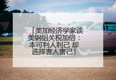 美加经济学家谈美钢铝关税加倍：本可利人利己 却选择害人害己