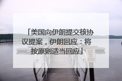 美国向伊朗提交核协议提案，伊朗回应：将按原则适当回应