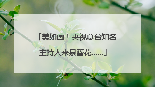 美如画！央视总台知名主持人来泉簪花……