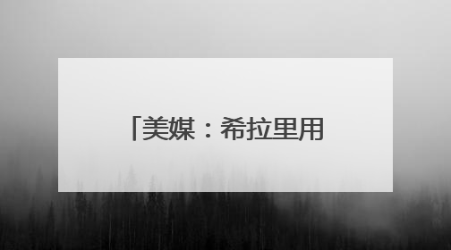美媒：希拉里用挤满街头的示威人群画面作对比，嘲讽特朗普“低能量”阅兵式观众少