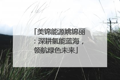 美锦能源姚锦丽：深耕氢能蓝海，领航绿色未来