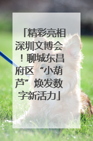 精彩亮相深圳文博会！聊城东昌府区“小葫芦”焕发数字新活力