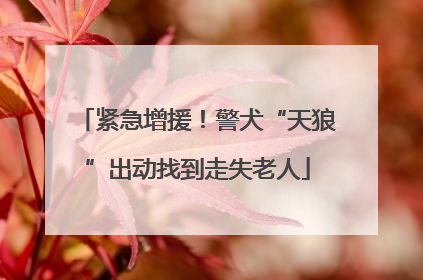 紧急增援！警犬“天狼”出动找到走失老人