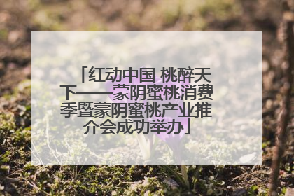 红动中国 桃醉天下——蒙阴蜜桃消费季暨蒙阴蜜桃产业推介会成功举办