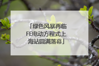 绿色风暴再临 FE电动方程式上海站圆满落幕