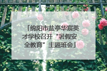 绵阳市盐亭华宸英才学校召开“暑假安全教育”主题班会