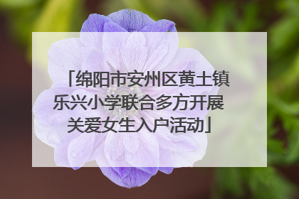 绵阳市安州区黄土镇乐兴小学联合多方开展关爱女生入户活动