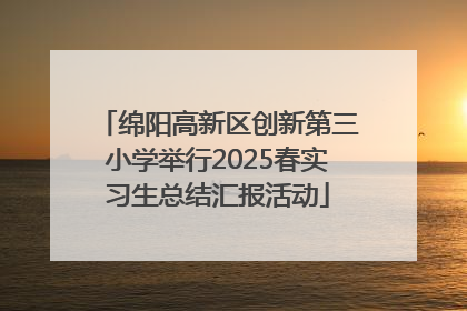 绵阳高新区创新第三小学举行2025春实习生总结汇报活动