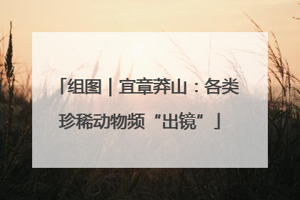 组图｜宜章莽山：各类珍稀动物频“出镜”