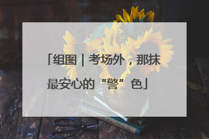 组图｜考场外，那抹最安心的“警”色