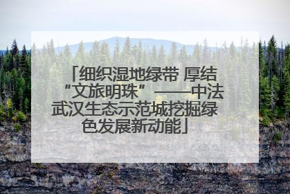 细织湿地绿带 厚结“文旅明珠”——中法武汉生态示范城挖掘绿色发展新动能