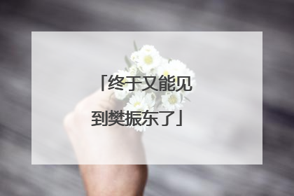 终于又能见到樊振东了
