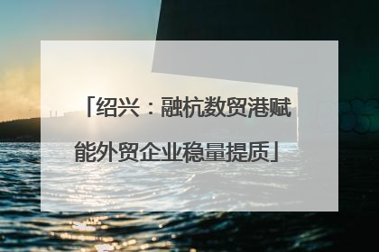 绍兴：融杭数贸港赋能外贸企业稳量提质