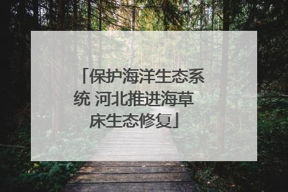 保护海洋生态系统 河北推进海草床生态修复