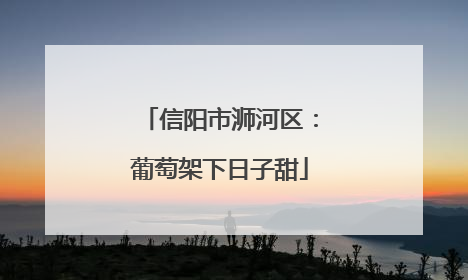 信阳市浉河区：葡萄架下日子甜