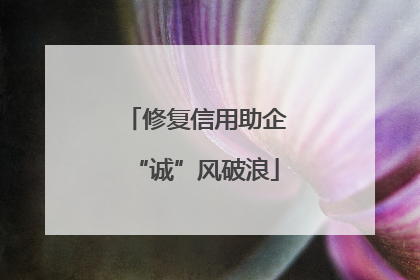 修复信用助企“诚”风破浪