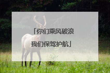 你们乘风破浪 我们保驾护航