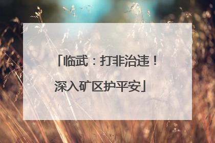 临武：打非治违！深入矿区护平安