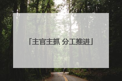 主官主抓 分工推进