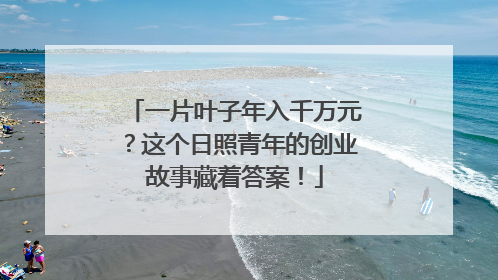 一片叶子年入千万元？这个日照青年的创业故事藏着答案！