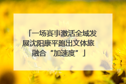 一场赛事激活全域发展沈阳康平跑出文体旅融合“加速度”