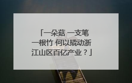 一朵菇 一支笔 一根竹 何以撬动浙江山区百亿产业？