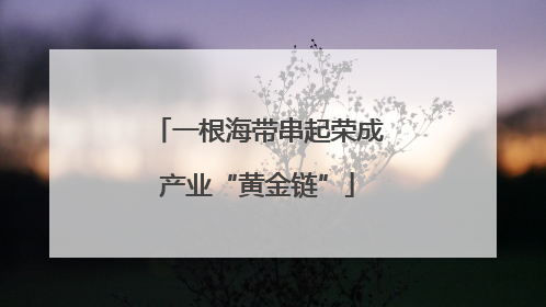 一根海带串起荣成产业“黄金链”