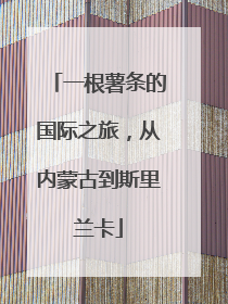 一根薯条的国际之旅，从内蒙古到斯里兰卡