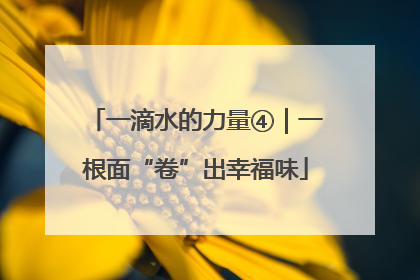 一滴水的力量④｜一根面“卷”出幸福味