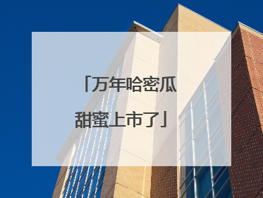 万年哈密瓜甜蜜上市了