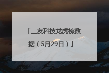 三友科技龙虎榜数据（5月29日）