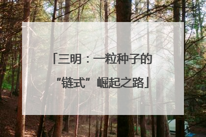 三明：一粒种子的“链式”崛起之路