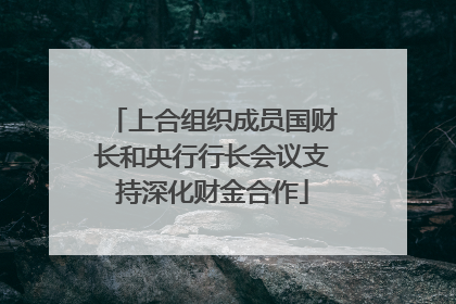 上合组织成员国财长和央行行长会议支持深化财金合作