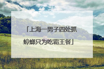 上海一男子四处抓蟑螂只为吃霸王餐