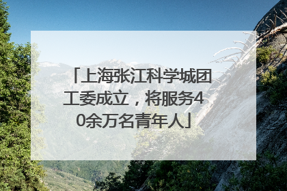上海张江科学城团工委成立，将服务40余万名青年人