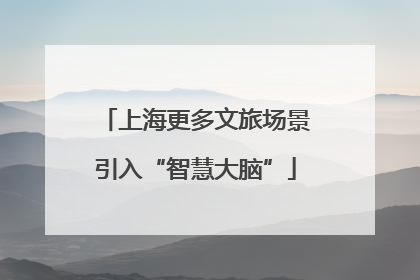 上海更多文旅场景引入“智慧大脑”