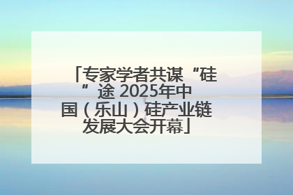 专家学者共谋“硅”途 2025年中国（乐山）硅产业链发展大会开幕