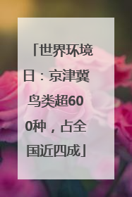 世界环境日：京津冀鸟类超600种，占全国近四成