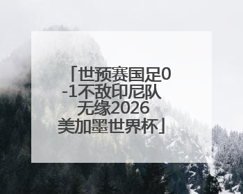 世预赛国足0-1不敌印尼队 无缘2026美加墨世界杯