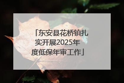 东安县花桥镇扎实开展2025年度低保年审工作