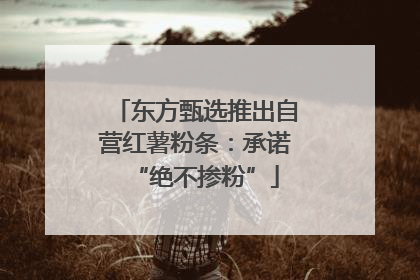 东方甄选推出自营红薯粉条：承诺“绝不掺粉”