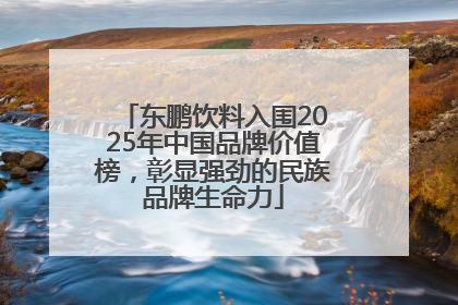 东鹏饮料入围2025年中国品牌价值榜，彰显强劲的民族品牌生命力