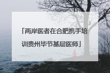 两岸医者在合肥携手培训贵州毕节基层医师