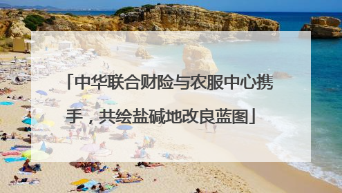 中华联合财险与农服中心携手，共绘盐碱地改良蓝图