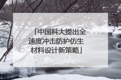中国科大提出全速度冲击防护仿生材料设计新策略