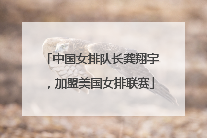 中国女排队长龚翔宇，加盟美国女排联赛