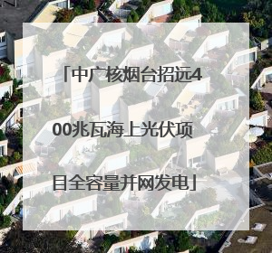 中广核烟台招远400兆瓦海上光伏项目全容量并网发电